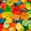 Gummy Bear Cubs - Image 2