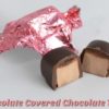 unwrapped and split in half Chocolate Covered Chocolate Taffy