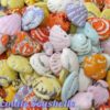 close up of assorted Chocoloate Seashells