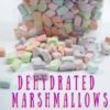 group of Dehydrated Marshmallows in in front of bag